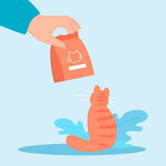 Why You Need A Cat Litter Subscription?