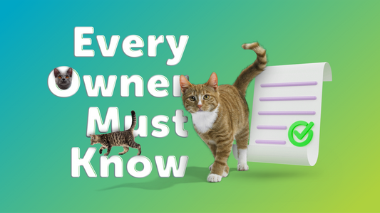 Litter Box Subscription Guidelines Every Owner Must Know