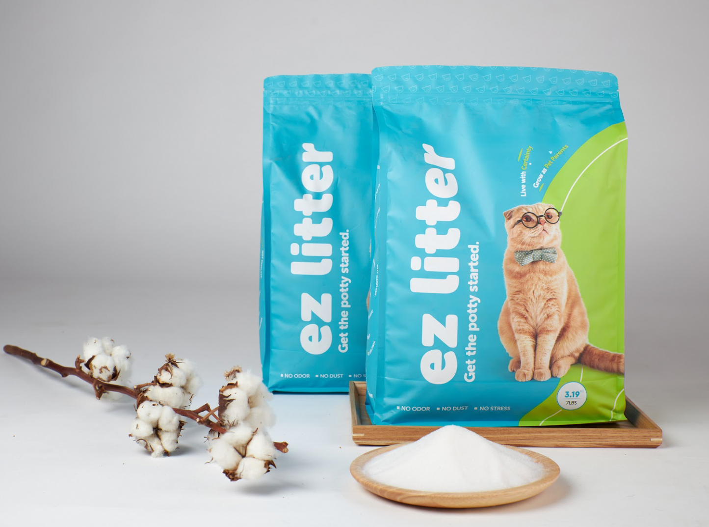 One Month of EZLitter For Two Cats