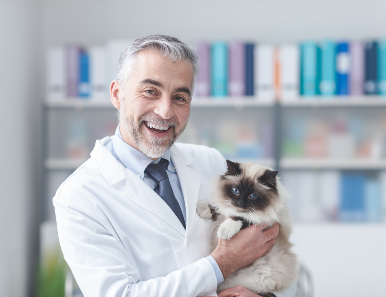 Veterinary Doctor with a Cat